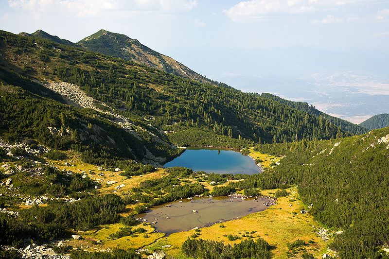 Pirin National Park – Guide | Bulgaria Guide