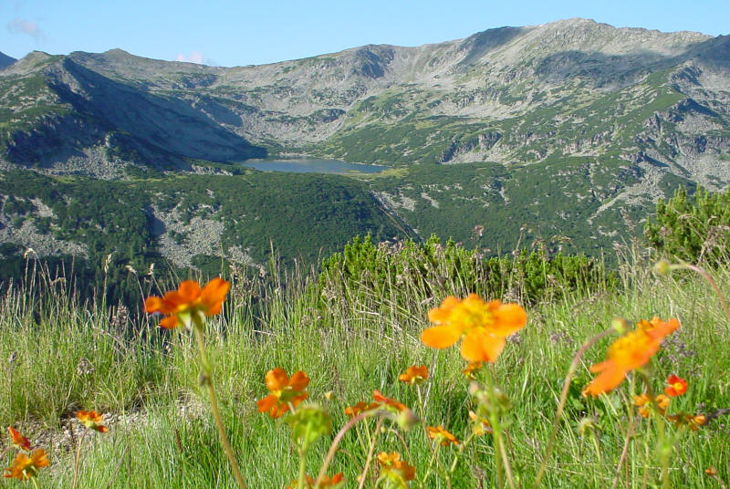 Rila Mountain